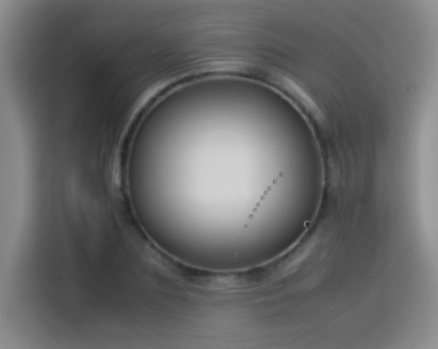 X0000113750883200909301029