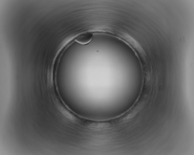 X0000113750884200909301029