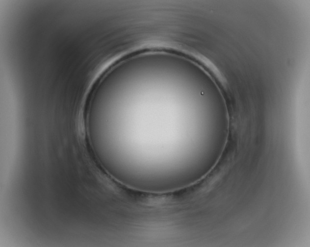 X0000113750887200909301029