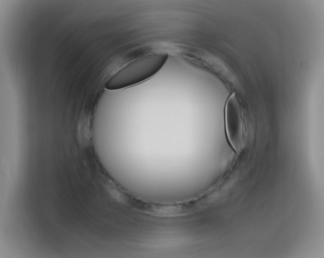 X0000113750889200909301029