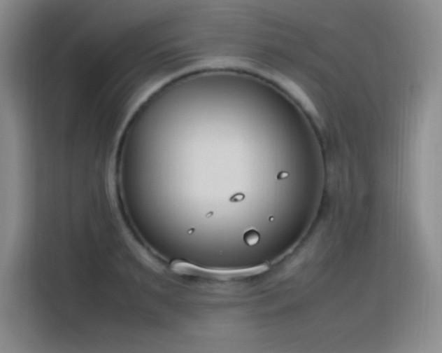 X0000113750895200909301029