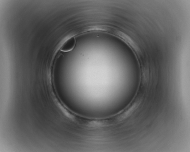 X0000113750898200909301029