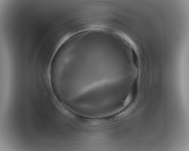 X0000113750899200909301029