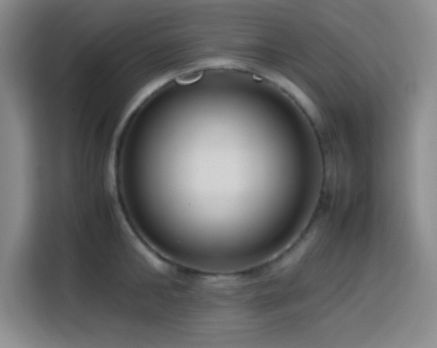 X0000113750902200909301029