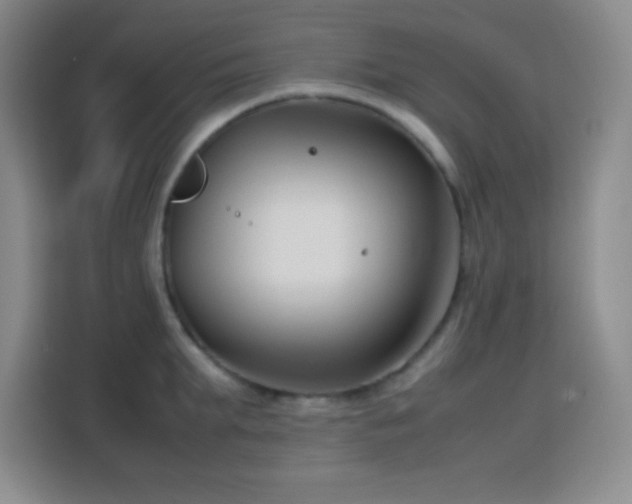 X0000113750903200909301029