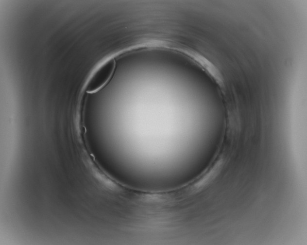 X0000113750904200909301029