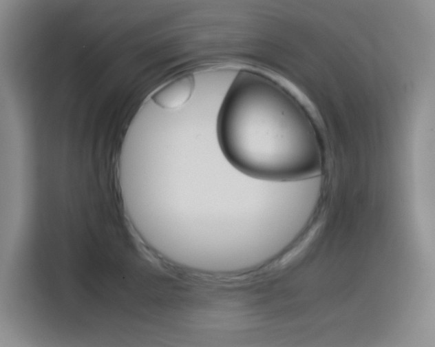 X0000113750905200909301029
