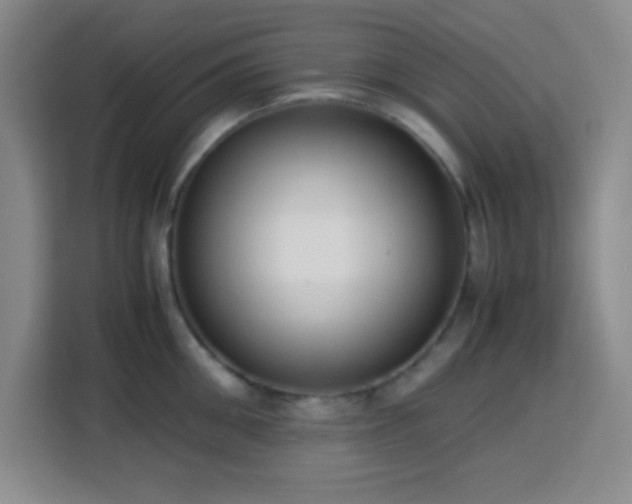 X0000113750906200909301029