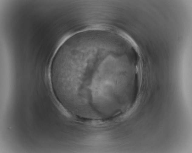 X0000113750907200909301029