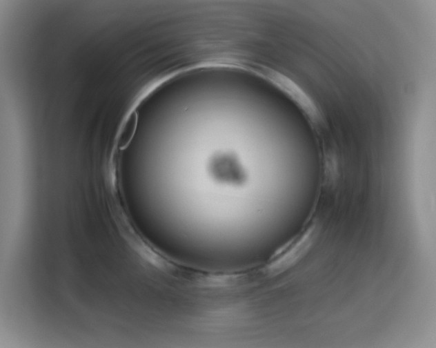 X0000113750908200909301029