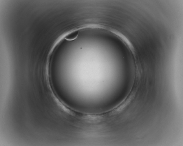 X0000113750910200909301029