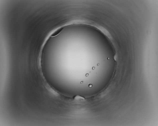 X0000113750912200909301029