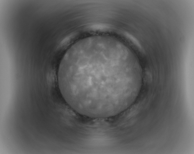 X0000113750918200909301028