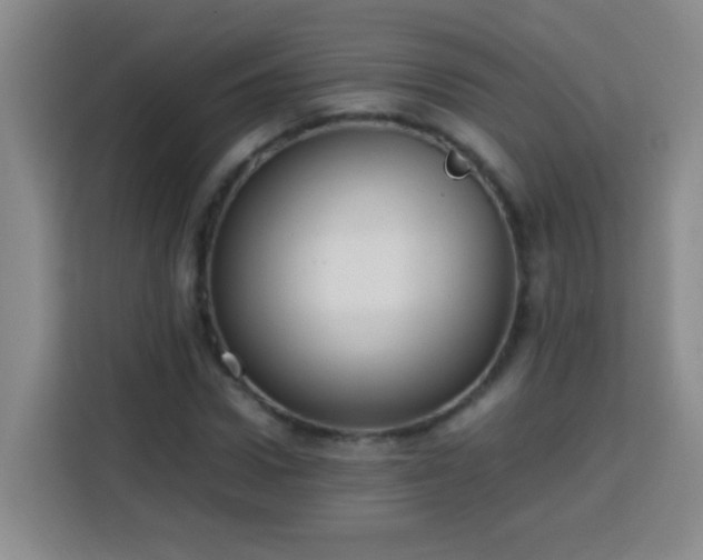 X0000113750922200909301029