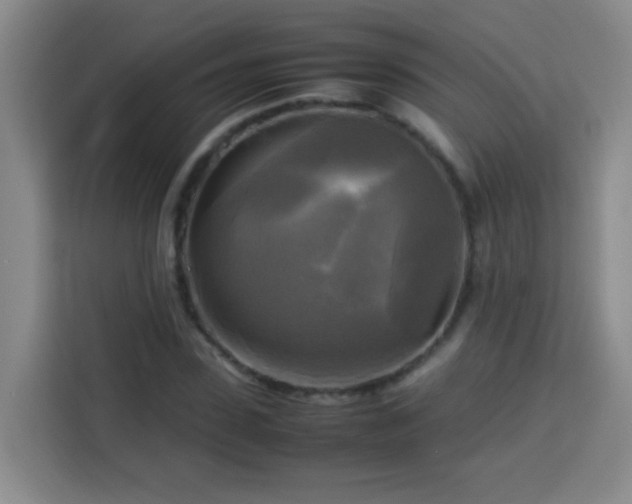 X0000113750923200909301029