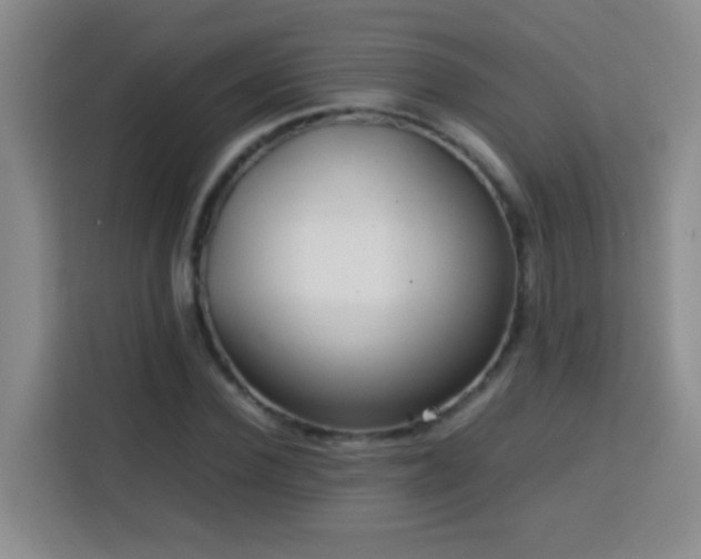 X0000113750924200909301029