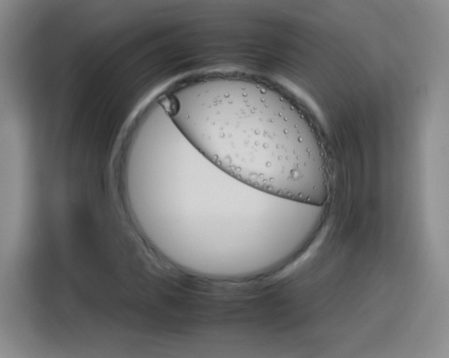 X0000113750925200909301029