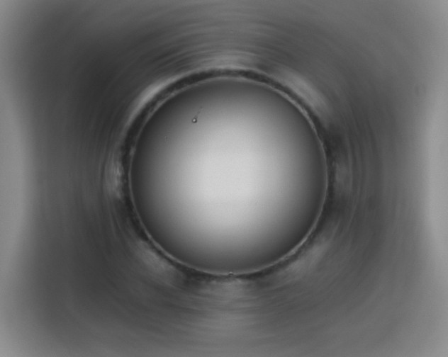 X0000113750926200909301029