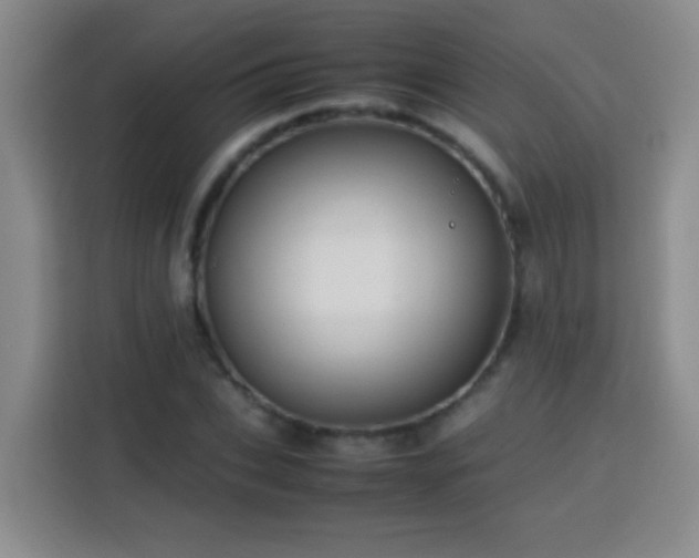 X0000113750927200909301029