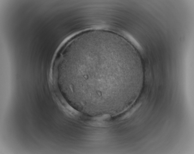 X0000113750932200909301029