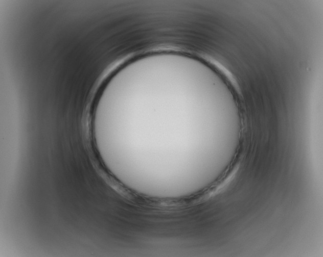 X0000113750933200909301029