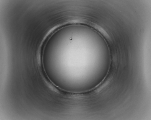 X0000113750934200909301029