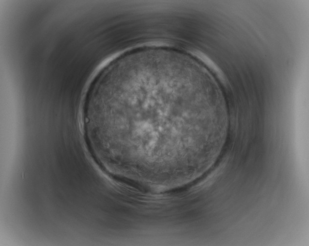 X0000113750935200909301029