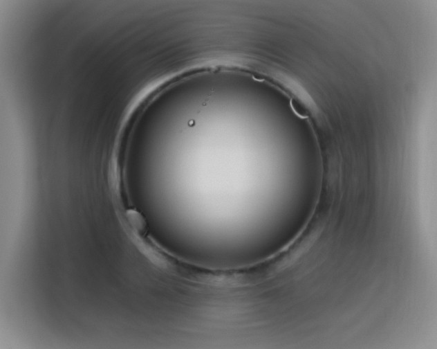 X0000113750936200909301029