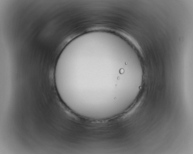 X0000113750937200909301029