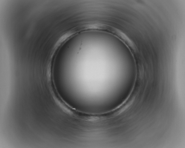 X0000113750938200909301029