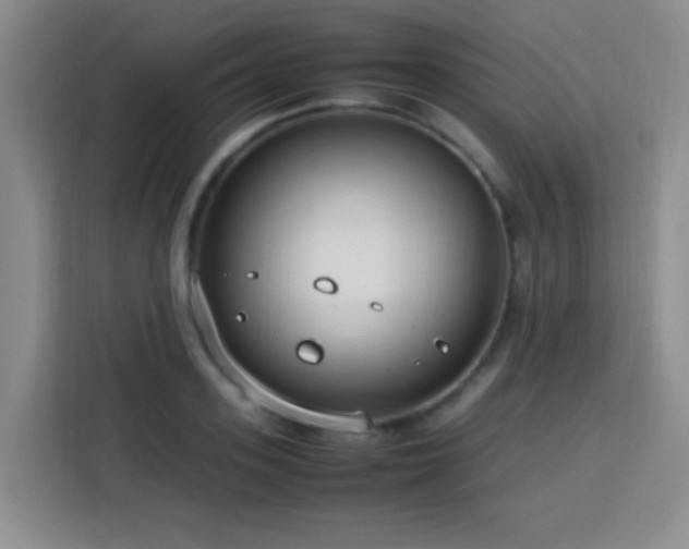X0000113750939200909301029