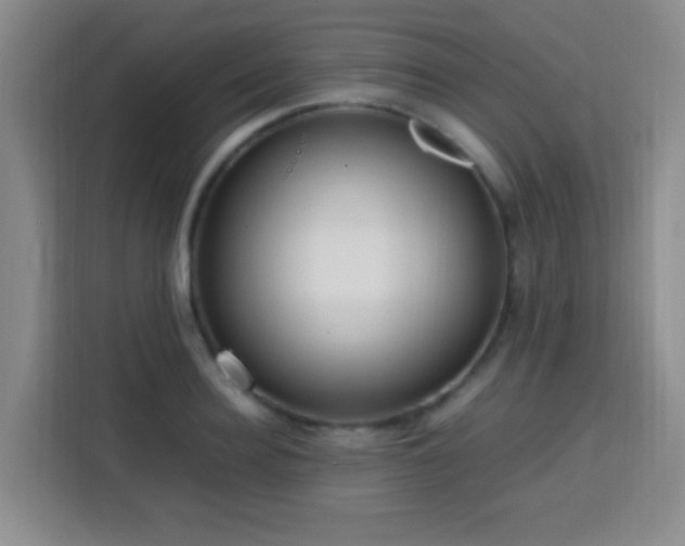 X0000113750940200909301029