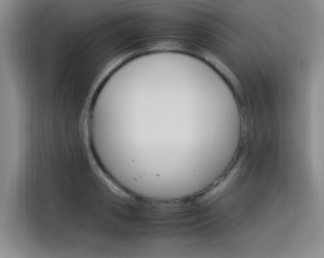 X0000113750941200909301029