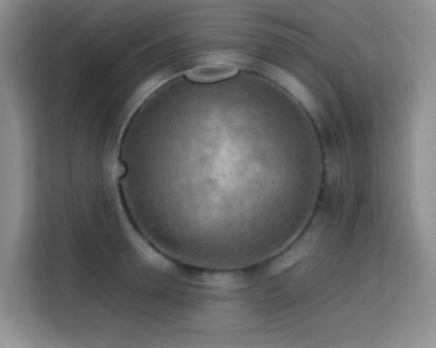 X0000113750946200909301029