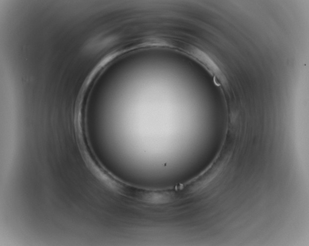 X0000113750947200909301029
