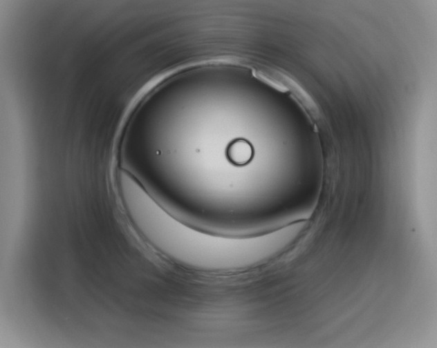 X0000113750948200909301029