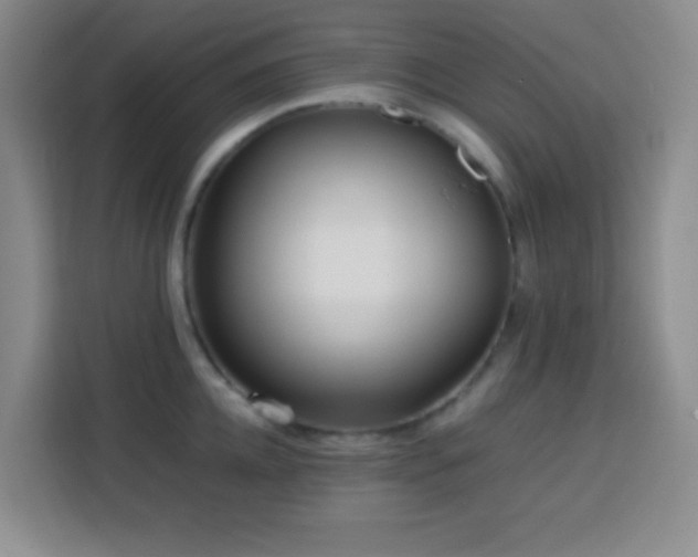 X0000113750952200909301029