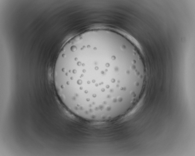 X0000113750953200909301029