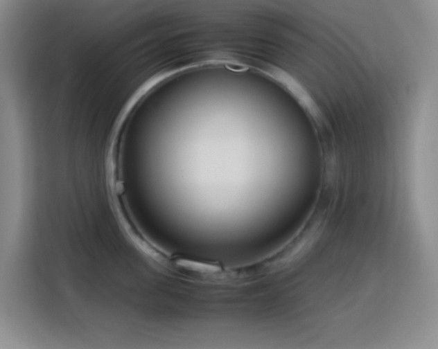 X0000113750955200909301029