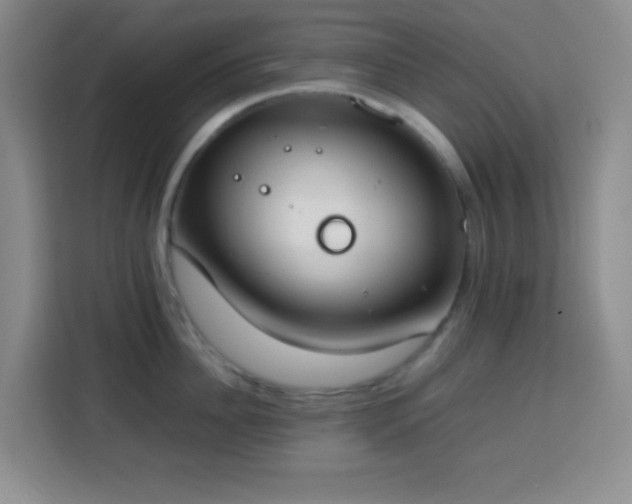 X0000113750956200909301029