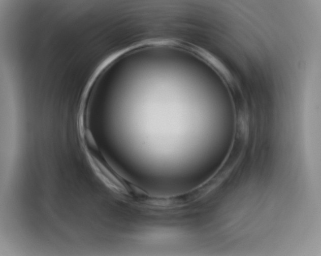 X0000113750959200909301029