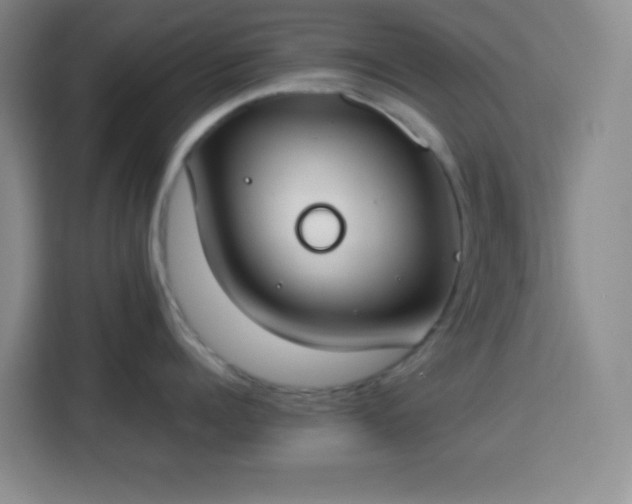 X0000113750960200909301029