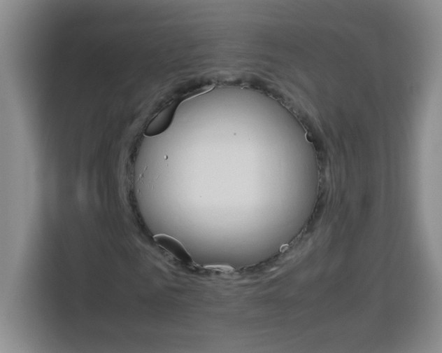 X0000113750961200909301028