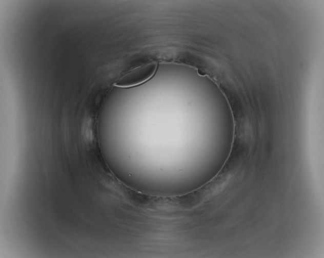 X0000113750962200909301028