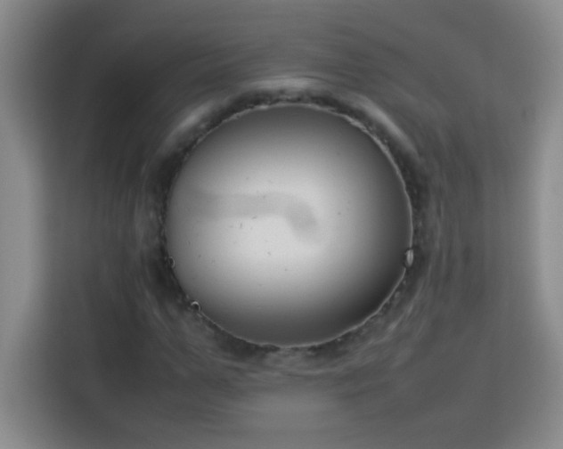 X0000113750967200909301028