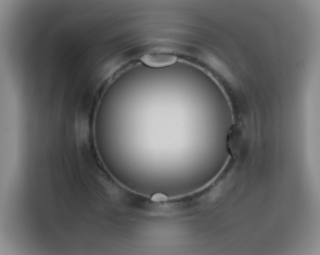 X0000113750969200909301028