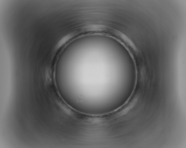 X0000113750970200909301028