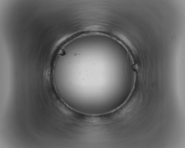 X0000113750971200909301028