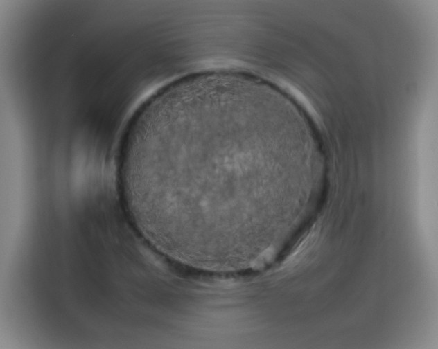 X0000113750975200909301028