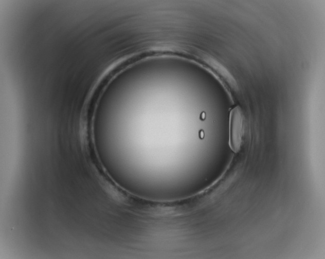 X0000113750976200909301028